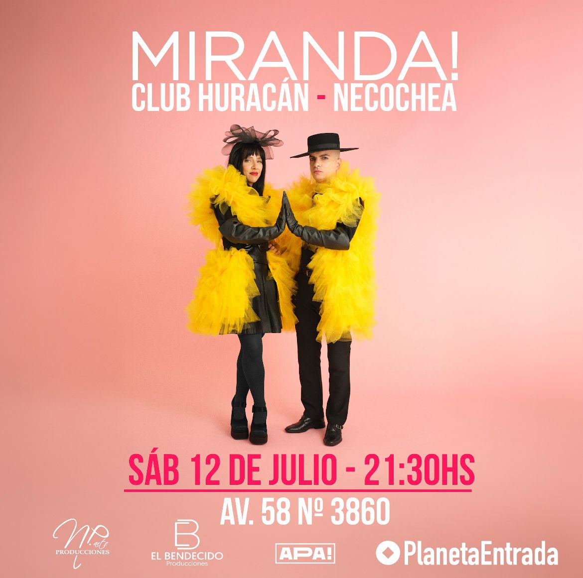 MIRANDA! | NECOCHEA